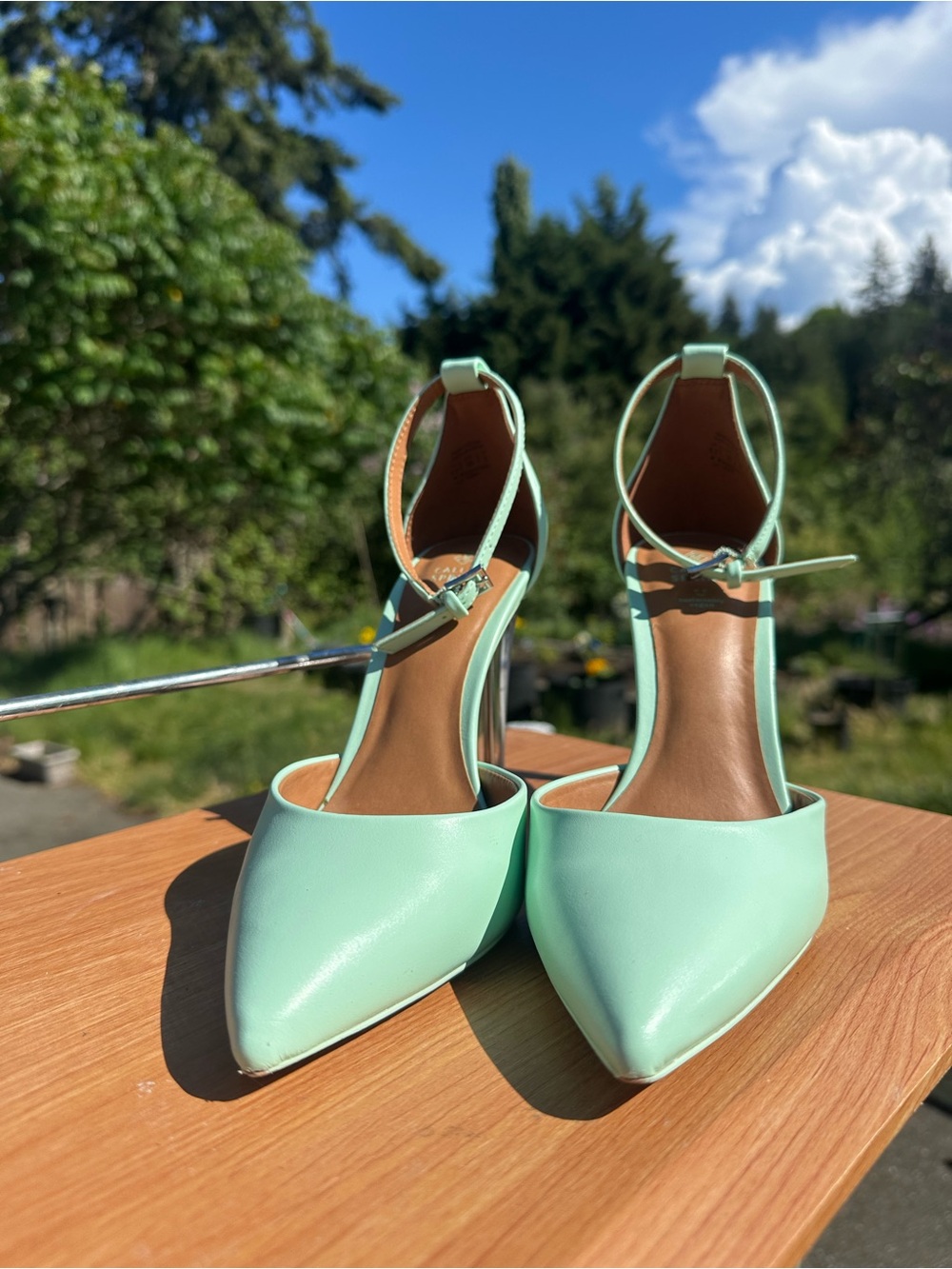 Ankle-Strap Pointed Toe Pumps in Mint Green